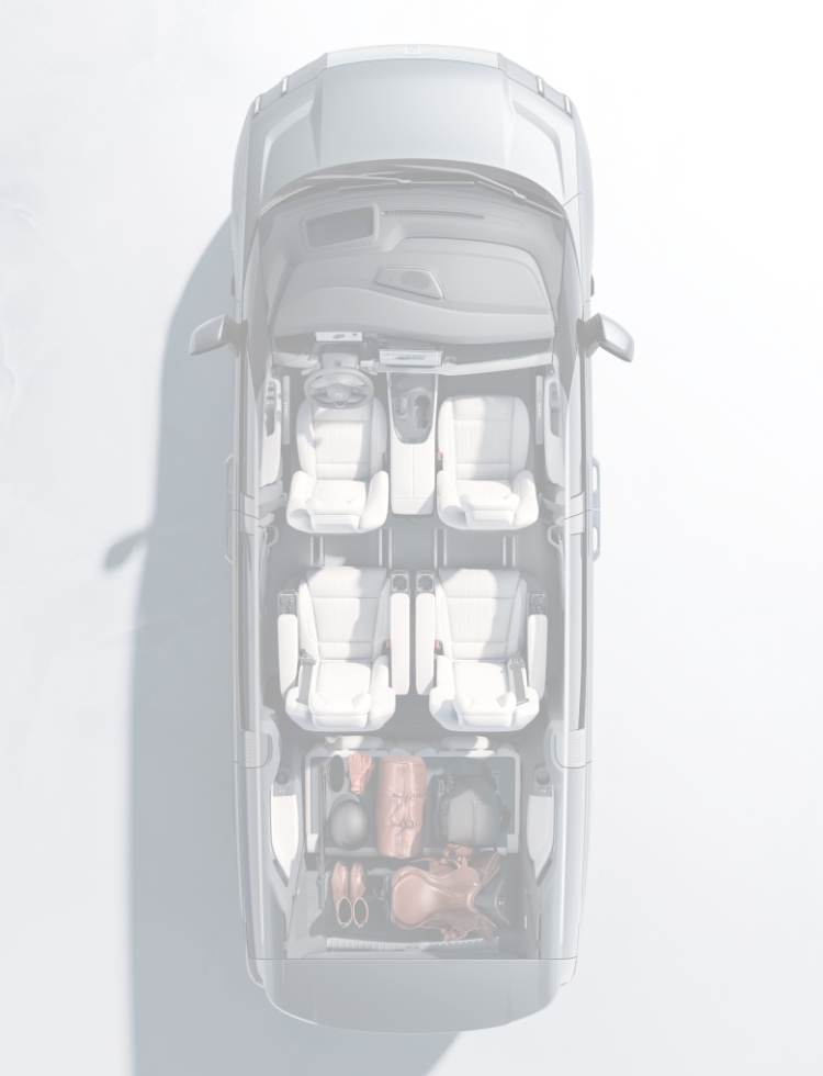 ZEEKR New 009 Speaker units Image